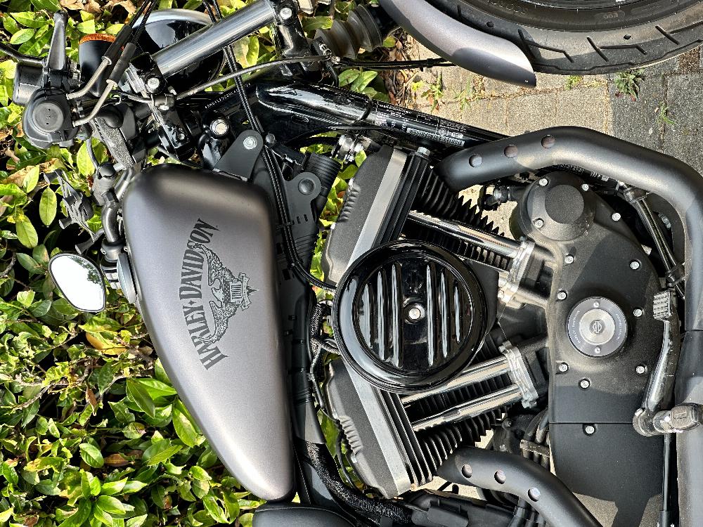 Motorrad verkaufen Harley-Davidson Sportster iron xl 883 Ankauf